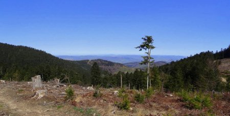 Vers les monts du Lyonnais.