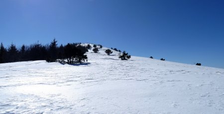 Sous le sommet du Suc d’Ourseyre.