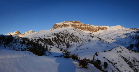 Roche Close prend des couleurs.