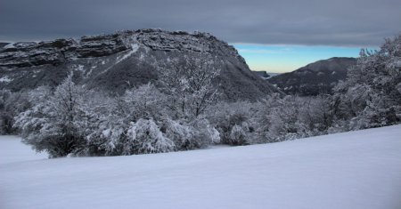 Le Néron