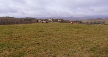 Du monde en campagne.