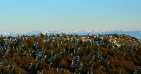 Le Crêt de la Chèvre et les Alpes.