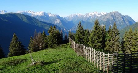 Un peu plus haut, la barrière de bois servant de paravalanche