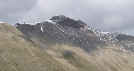 Dernier regard sur la Grande Epervière