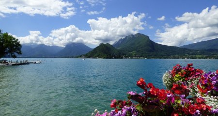 Encore un cocktail de rêve et un petit air d’Hawaï avec ces magnifiques fleurs et le Lac d’Annecy devant les Bauges (Taillefer de Duingt au centre, entre Montagne du Charbon et Montagne d’Entrevernes).