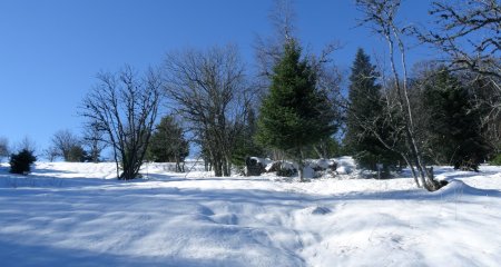 Sortie de la forêt.