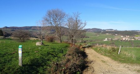 Chemin balisé au départ.