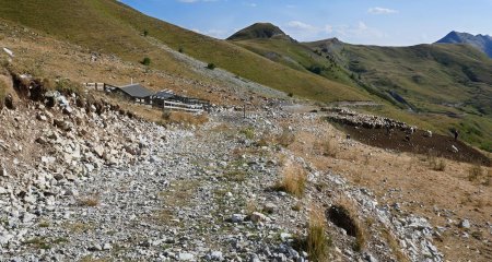 La voilà la p’tite cabane des Têtes, et son p’tit troupeau de brebis.