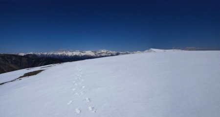 La Blanche au loin, superbe !