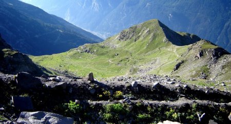 Combe Noire vue du paravalanche.