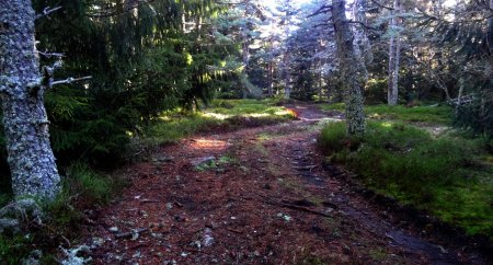 Chemin non balisé pour aller à la chapelle.