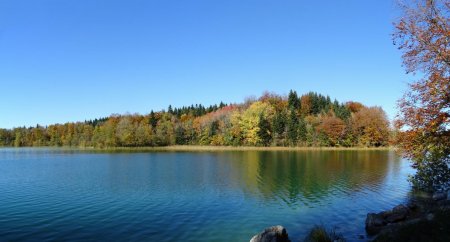 Variations de couleurs au bord du Grand Maclu