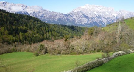 ... et sur la montagne de Faraut (Dévoluy)