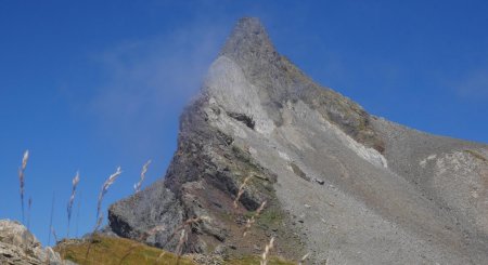 L’aiguille de rêve.