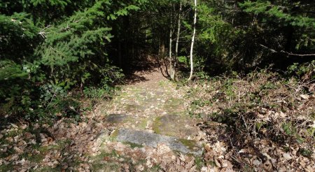 Chemin de descente avec des marches.