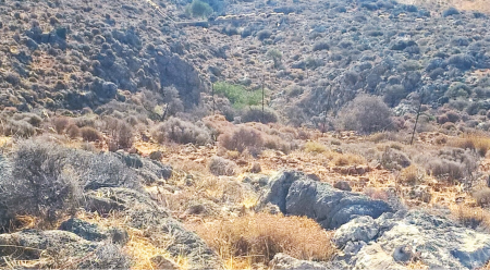 Un terrain de jeu conçu avant tout pour les chèvres