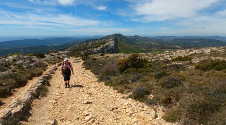 Sur la crête de la Sainte-Baume