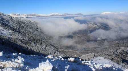 La brume se dégage