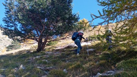 Montée vers la crête sud des Costes de Saugraure