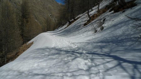 Le chemin du retour retrouve la neige.