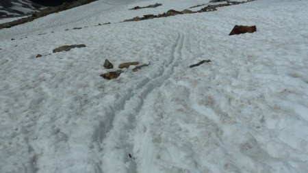 Ski d’été en chaussures de rando ! 