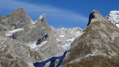 Des biens belles aiguilles.