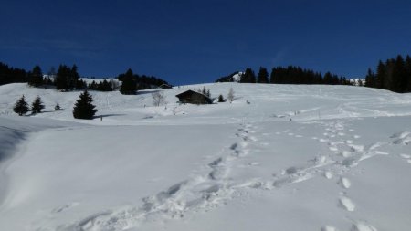 Montée tranquille...