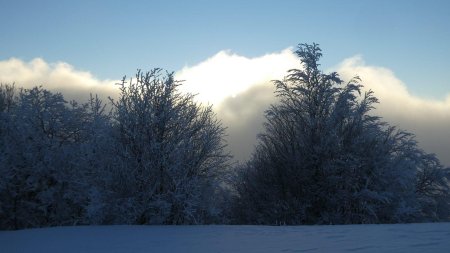 Toujours cette alternance de brume et de soleil.