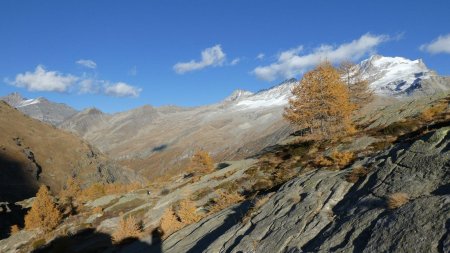 De la Grivola au Grand Paradis