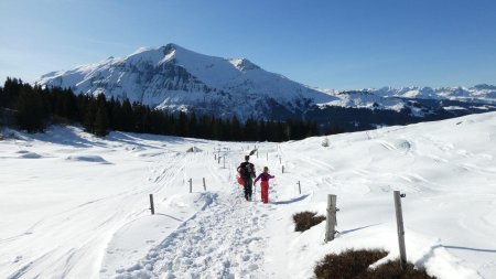 Mont Joly, sommets des Aravis à droite.