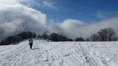 Arrivée sur le plateau de la Croix d’allant.