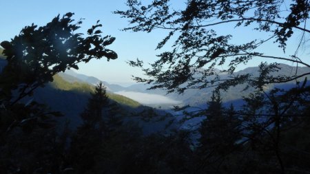 La vallée dans les nuages