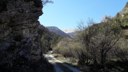 Sur la piste dans le rétro