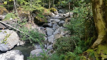 Le ruisseau de la Fontaine des Miches