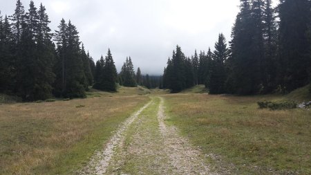 Traversée des hauts plateaux