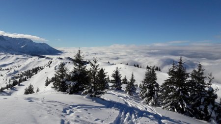 Quelle chance d’être ici où il fait si beau !