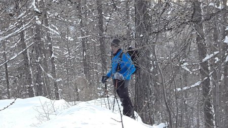 Un Lynx dans le bois ? Ah non c’est Manu..