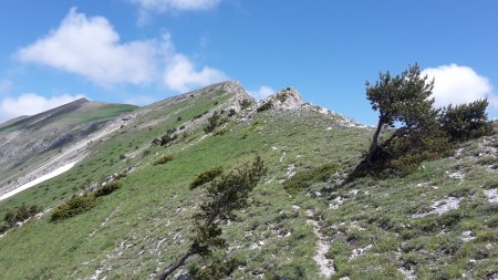 Rétro sur la descente