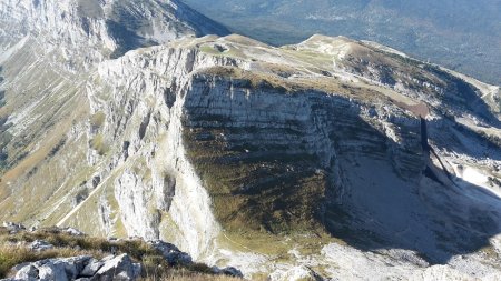 La Petite Moucherolle.