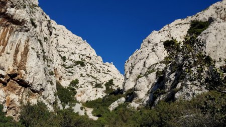 Fond du vallon de la Mounine