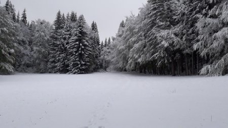 Retour par l’alpage du Chevran