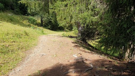 Le sentier à suivre