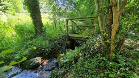 Petit pont sur le Darde Coise