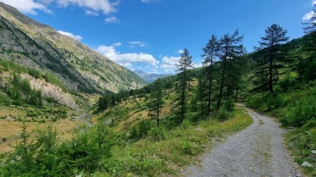 Regard arrière dans la montée du vallon de Ségure