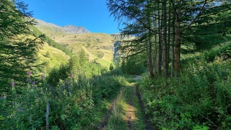 Le retour se fera également par ce chemin