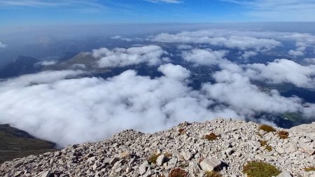 Au sommet ! côté Trièves