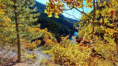 Puis on remonte sur ce magnifique sentier avec des couleurs luxuriantes