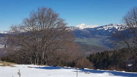 Au Crêt de la Dolca