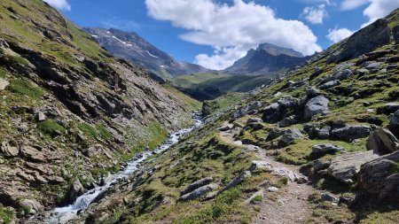 Sentier en montant au lac Noir