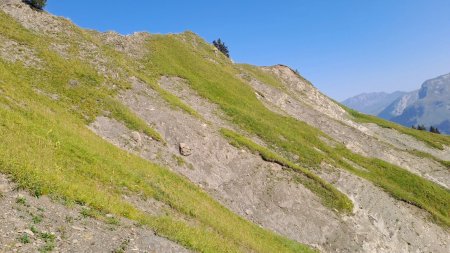 Les ravines sous l’arrête de la Tenaz 